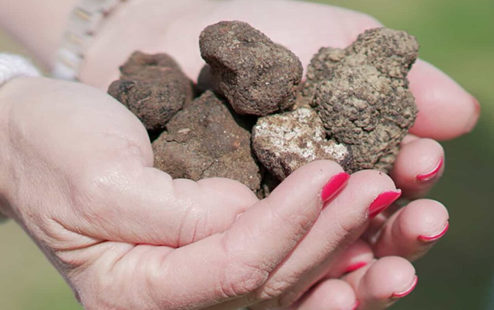 Esperienze particolari in toscana