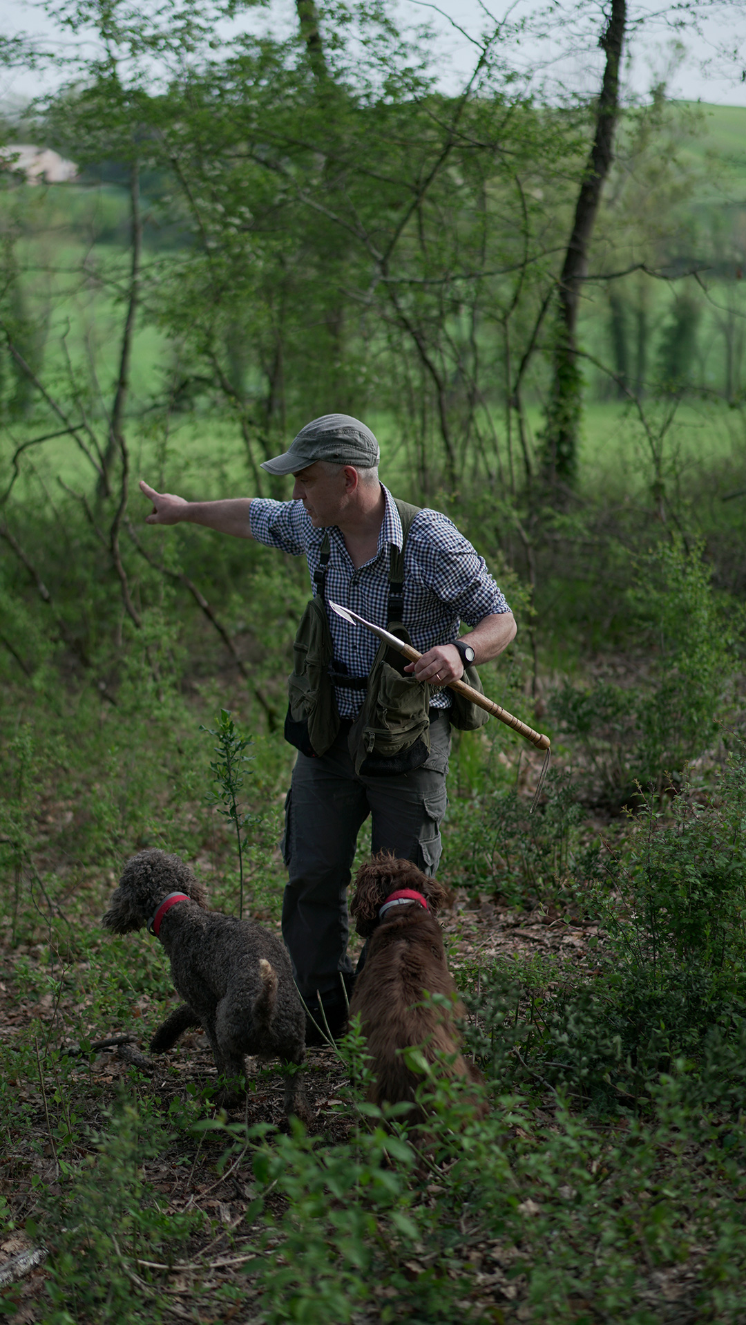 Truffle-Hunting-Le-Pietre-Vive-Experience_2