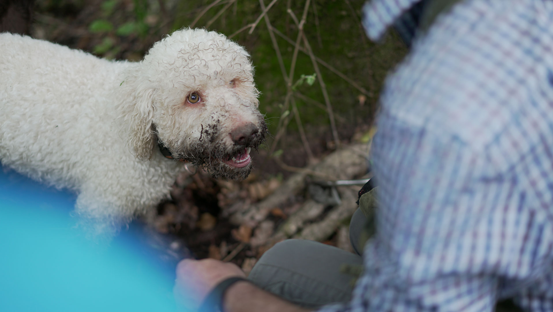 Truffle-Hunting-Le-Pietre-Vive-Experience_29
